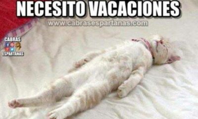 ¿Por qué son necesarias las vacaciones?