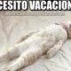 ¿Por qué son necesarias las vacaciones?