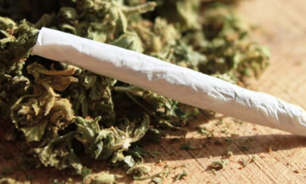 Trató de vender cigarrillos de marihuana en pleno centro y fue interceptado. Trató de vender cigarrillos de marihuana en pleno centro y fue interceptado.