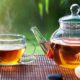 ¡Sorpresivo! Nuevo estudio revela que el té ralentiza el proceso de envejecimiento.