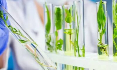 Argentina elaboró el primer proyecto del mundo para resolver la contaminación del agua por la industria textil