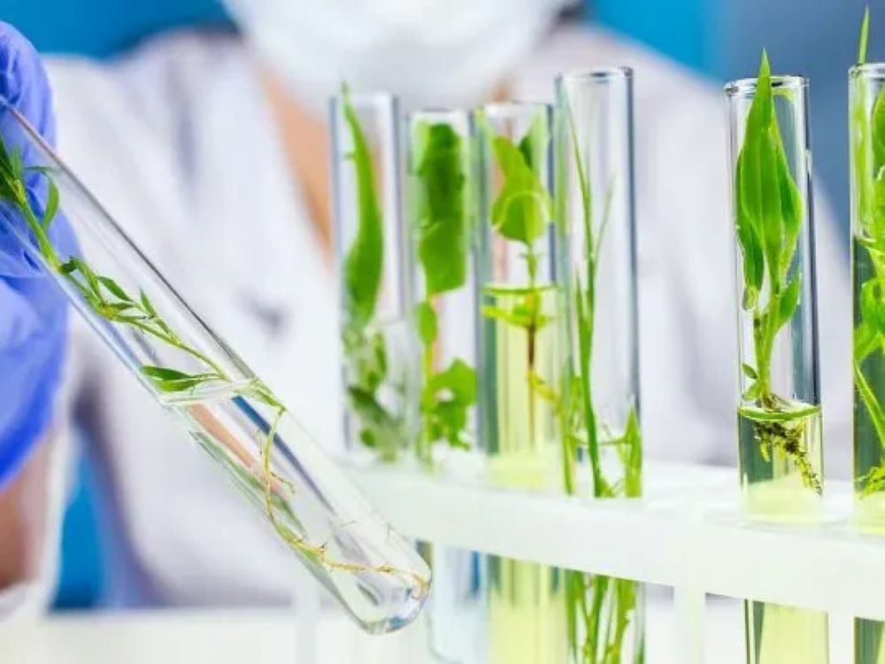 Argentina elaboró el primer proyecto del mundo para resolver la contaminación del agua por la industria textil Argentina elaboró el primer proyecto del mundo para resolver la contaminación del agua por la industria textil