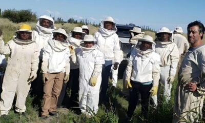 En Sarmiento inicia una capacitación en apicultura.