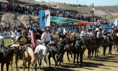Disfruta del fin de semana con doma y folclore en Iglesia