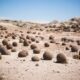 Ischigualasto: ¿cómo se formó la Cancha de Bochas que atrapa a los turistas?