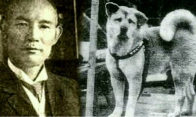 Hachiko: El símbolo de amor y lealtad perruno