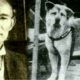 Hachiko: El símbolo de amor y lealtad perruno