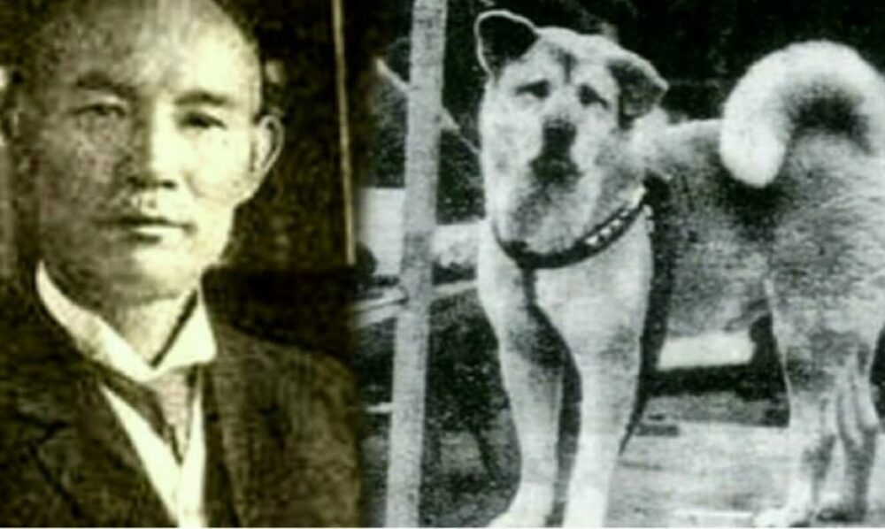 Hachiko: El símbolo de amor y lealtad perruno Hachiko: El símbolo de amor y lealtad perruno