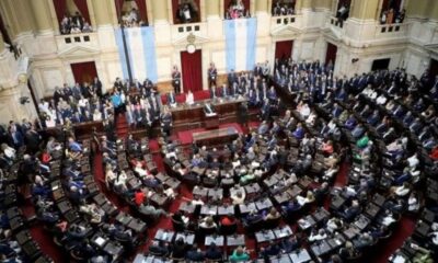 Diputados: La Libertad Avanza presentó un proyecto para bajar la edad de imputabilidad a 12 años