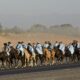 Artistas de toda la provincia animarán el cierre de la Cabalgata a la Difunta Correa
