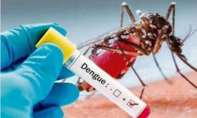 En el país 44 muertes por dengue en una semana, en San Juan los contagios aumentan.