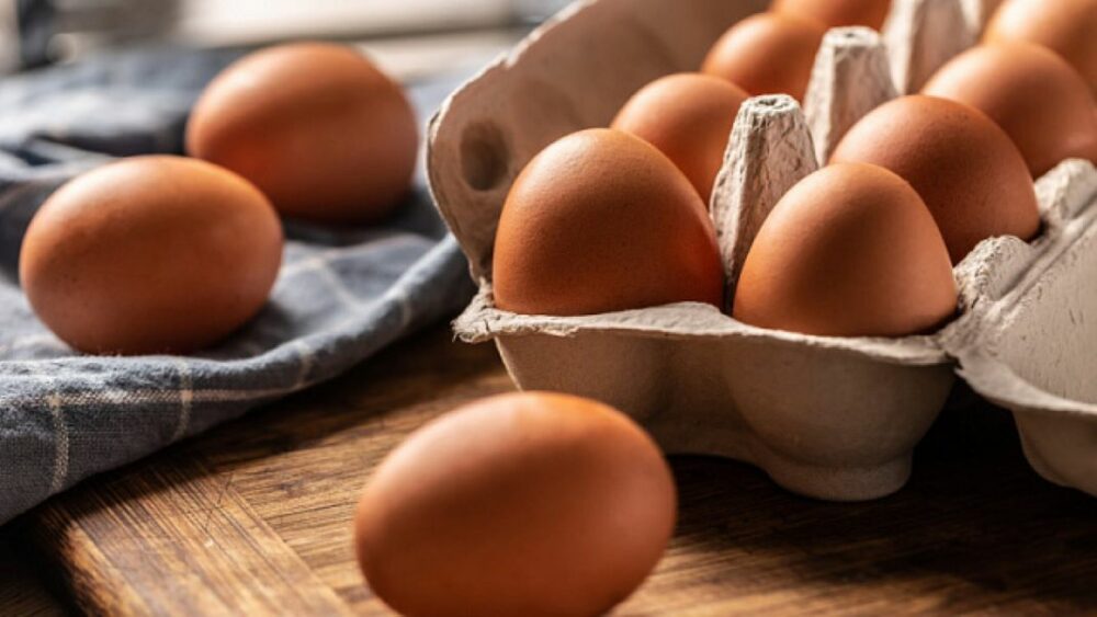 Irán exporta por primera vez un lote de huevos a Rusia Irán exporta por primera vez un lote de huevos a Rusia