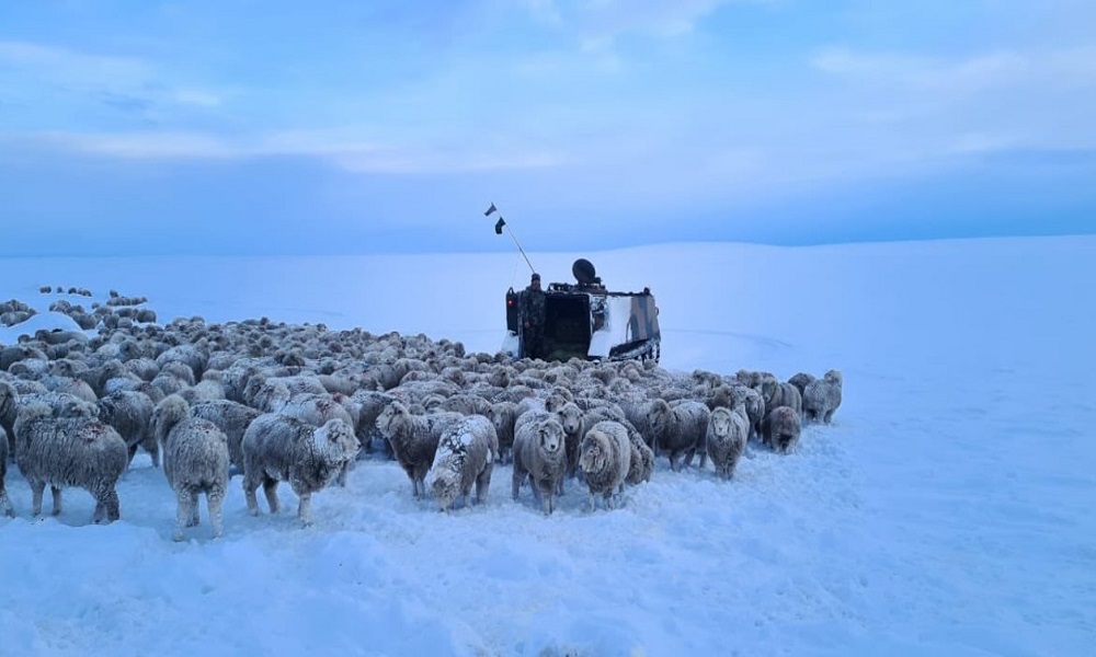 Frío extremo: postales de las bajas temperaturas que continuarán en todo el país. Frío extremo: postales de las bajas temperaturas que continuarán en todo el país.