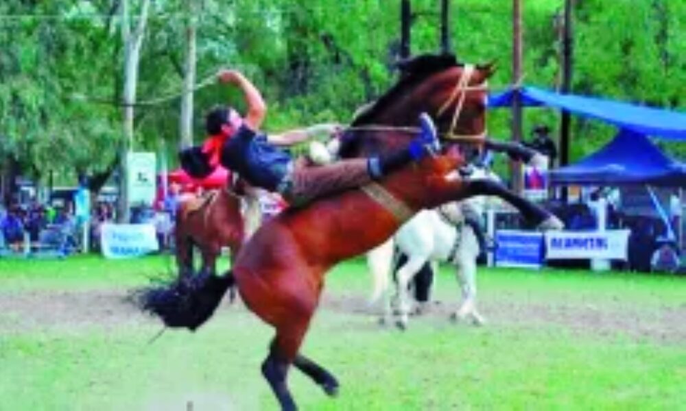 En Huaco se reúnen las mejores tropillas en un gran festival de doma y folklore. En Huaco se reúnen las mejores tropillas en un gran festival de doma y folklore.
