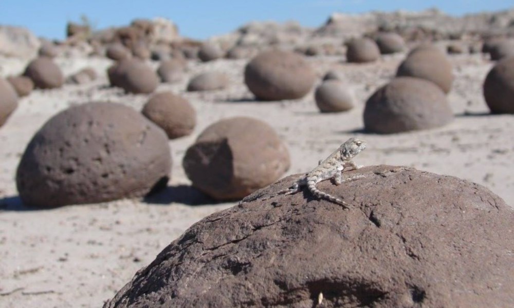 Ischigualasto fue elegido como uno de los Segundos 100 Sitios de Patrimonio Geológico. Ischigualasto fue elegido como uno de los Segundos 100 Sitios de Patrimonio Geológico.