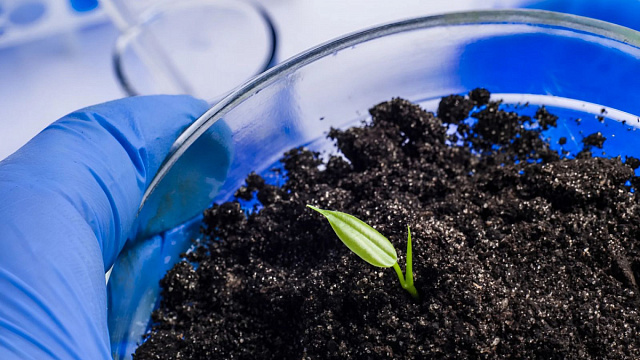 Estudio destaca el uso de biofertilizantes para sostenibilidad agrícola en Brasil Estudio destaca el uso de biofertilizantes para sostenibilidad agrícola en Brasil