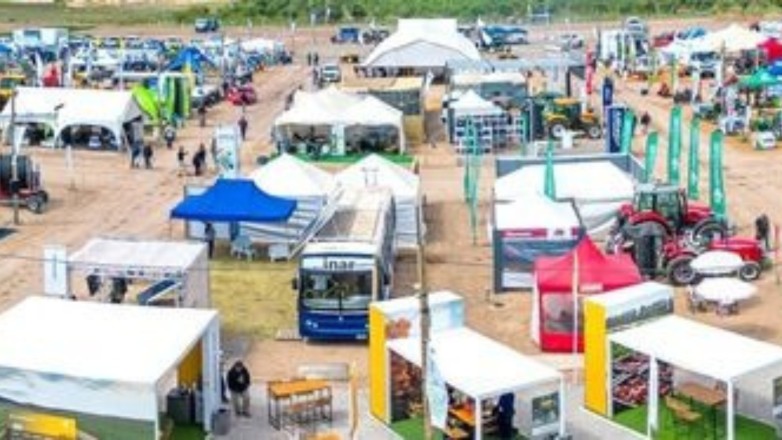 El Gobierno tendrá un stand en la Expo Innova donde ofrecerá charlas de interés El Gobierno tendrá un stand en la Expo Innova donde ofrecerá charlas de interés