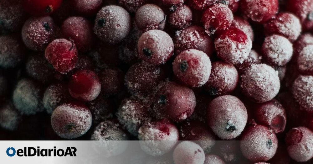 ¿Es cierto que congelar algunos alimentos mejora sus valores nutricionales? ¿Es cierto que congelar algunos alimentos mejora sus valores nutricionales?