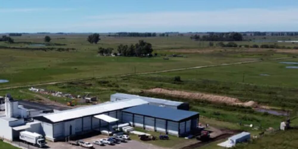 Cómo invertir en carnes de exportación y ganar hasta un 15% anual en dólares. Cómo invertir en carnes de exportación y ganar hasta un 15% anual en dólares.