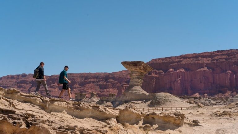 Se prohíbe el ingreso de mascotas en el Parque Provincial Ischigualasto Se prohíbe el ingreso de mascotas en el Parque Provincial Ischigualasto