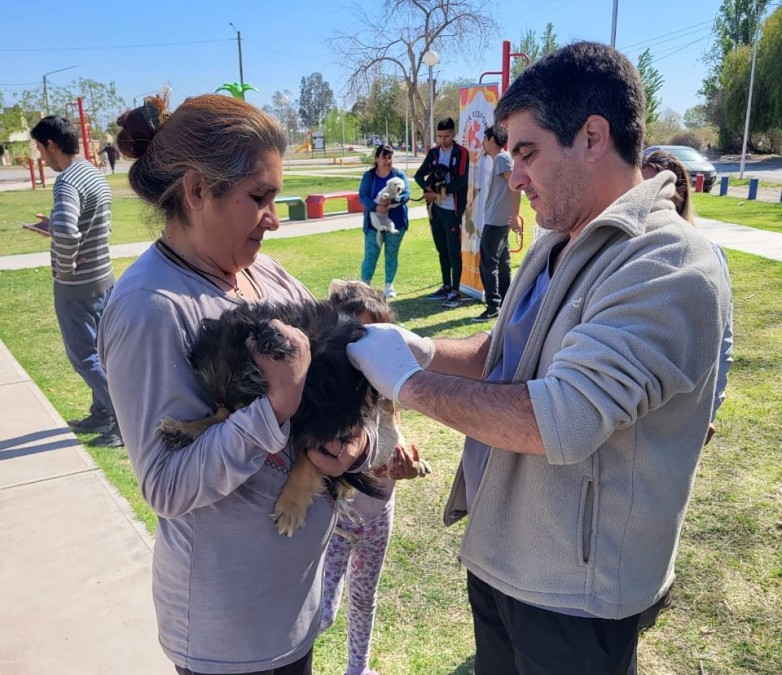 Más de 100 mascotas vacunadas en un operativo de tenencia responsable en El Mogote Más de 100 mascotas vacunadas en un operativo de tenencia responsable en El Mogote