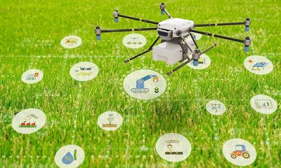 India adopta tecnología de drones para impulsar el sector pesquero con amplio apoyo gubernamental