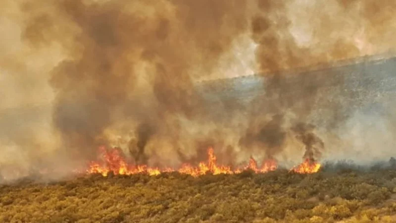 La policia logró la detención de dos personas por el incendio en Jáchal. La policia logró la detención de dos personas por el incendio en Jáchal.