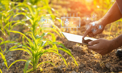 Sector agrícola contribuye al acelerado crecimiento económico de Arabia Saudita