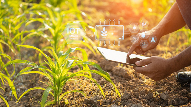 Sector agrícola contribuye al acelerado crecimiento económico de Arabia Saudita Sector agrícola contribuye al acelerado crecimiento económico de Arabia Saudita