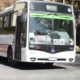 Red Tulum: en San Juan circularán los colectivos durante Navidad
