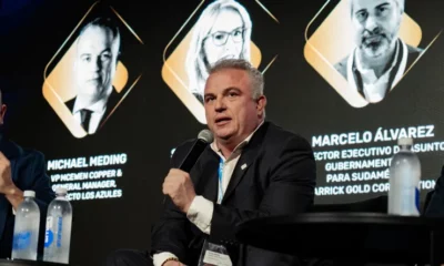 Michael Meding confirma la adhesión de los Azules al RIGI para 2025