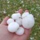Fuerte tormenta en San Juan: el granizo afectó varias zonas durante la tarde