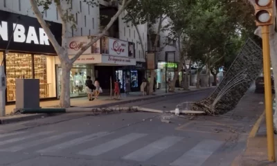Un cartel navideño se descolgó y derribó un poste de luz en una calle transitada