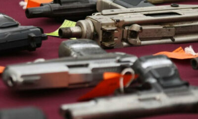 La Asociación Nacional del Rifle en el poder