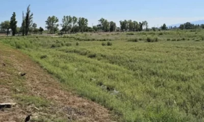En Angaco otra vez hay tensión con el municipio por la posible expropiación de más de 340 ha