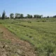 En Angaco otra vez hay tensión con el municipio por la posible expropiación de más de 340 ha