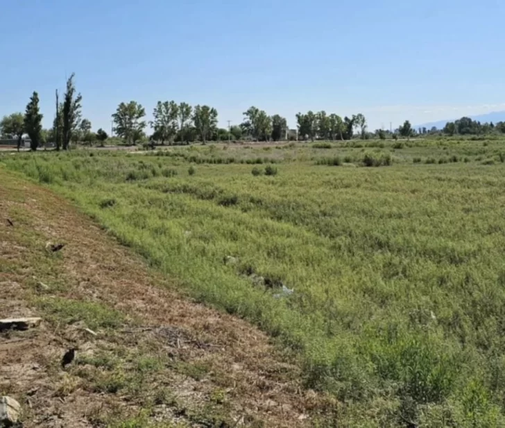 En Angaco otra vez hay tensión con el municipio por la posible expropiación de más de 340 ha En Angaco otra vez hay tensión con el municipio por la posible expropiación de más de 340 ha