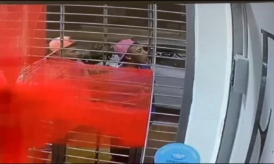 Detienen a un joven y a un menor tras violento robo a un comercio