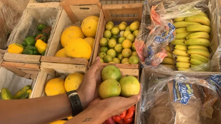 Preocupación: un limón se vende a $1.000 Preocupación: un limón se vende a $1.000