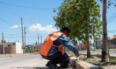 Rivadavia avanza con obras barriales priorizando el bienestar de los vecinos