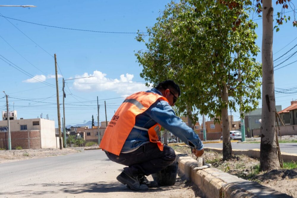 Rivadavia avanza con obras barriales priorizando el bienestar de los vecinos Rivadavia avanza con obras barriales priorizando el bienestar de los vecinos