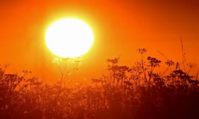 Ola de calor: se esperan temperaturas récord de hasta 40 °C este fin de semana