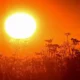 Ola de calor: se esperan temperaturas récord de hasta 40 °C este fin de semana