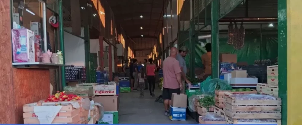 Aseguran que la venta de verdura y fruta está parada y esperan que las vacaciones pasen Aseguran que la venta de verdura y fruta está parada y esperan que las vacaciones pasen