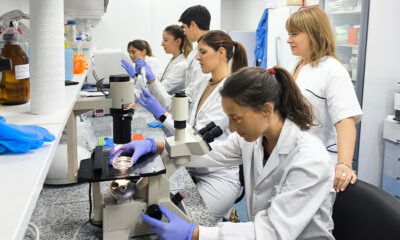 Científicas del Conicet desarrollan una vacuna para combatir el Chagas