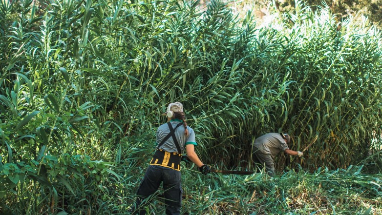 Espacios Verdes realiza el mantenimiento de la Quebrada de Zonda Espacios Verdes realiza el mantenimiento de la Quebrada de Zonda