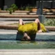 Con una máxima de 39°, así estará el tiempo en San Juan este sábado