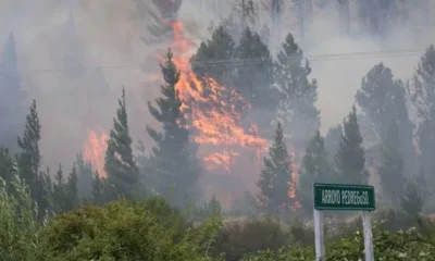 Incendio en Epuyén: más de 2.000 hectáreas consumidas y hay más de 60 evacuados