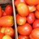Detuvieron a dos hombres tras robar 41 kilos de tomate en una finca