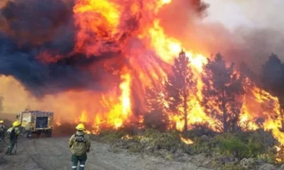 Kicillof envió brigadistas para combatir los incendios en la Patagonia